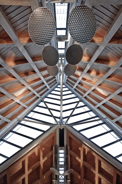 Photograph Michael Jacobs Bees Nest Ii on One Eyeland